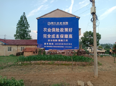 桂东墙体广告的优劣势你知道吗？