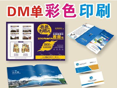 桂东单页印刷，色彩搭配简单。